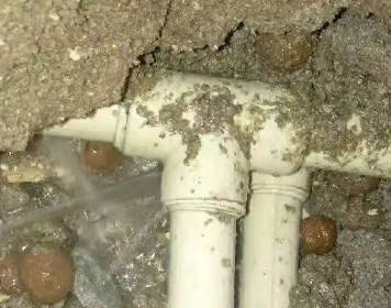 凤泉测漏水多少钱