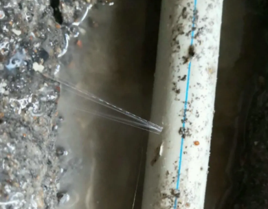 凤泉测漏水哪家好