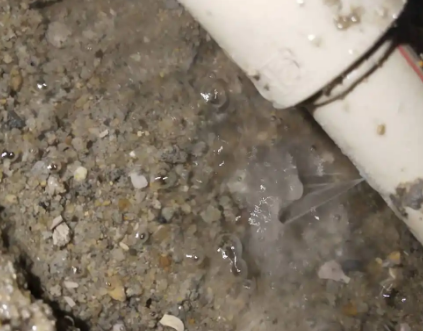 凤泉测漏水电话号码