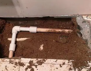 凤泉测漏水哪家好