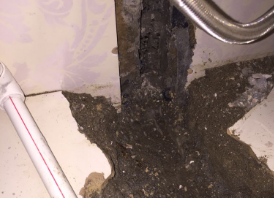 凤泉卫生间测漏水哪家好