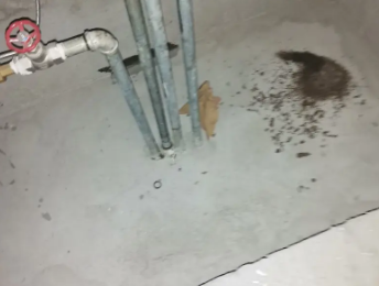 凤泉卫生间测漏水价格明细