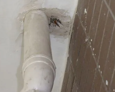 凤泉漏水检测哪家好